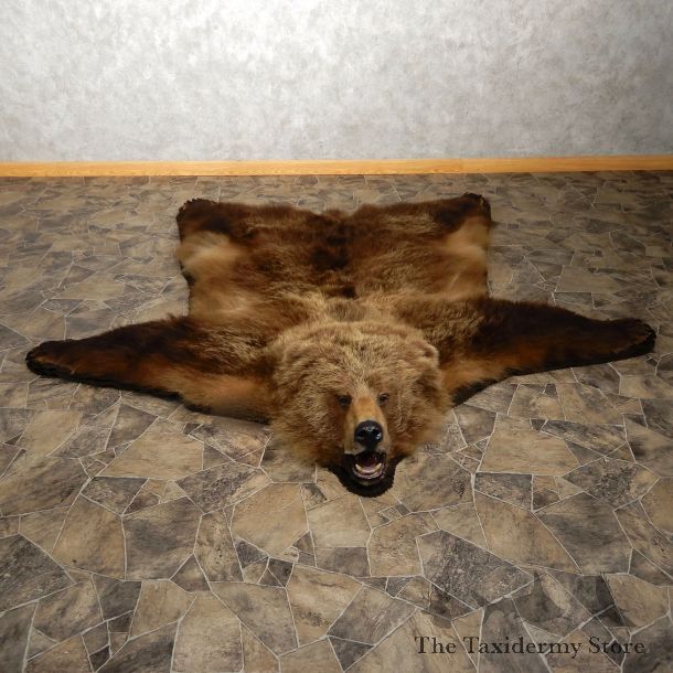 Grizzly Bear Taxidermy Rug Mount For Sale #19920 @ The Taxidermy Store