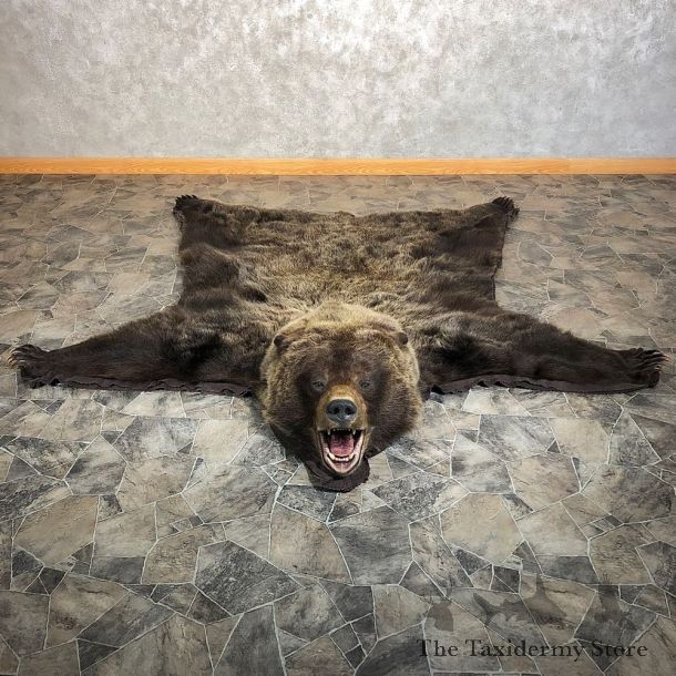 Grizzly Bear Taxidermy Rug Mount For Sale #20340 @ The Taxidermy Store