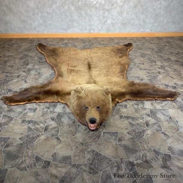 Grizzly Bear Taxidermy Rug Mount For Sale #21182 @ The Taxidermy Store