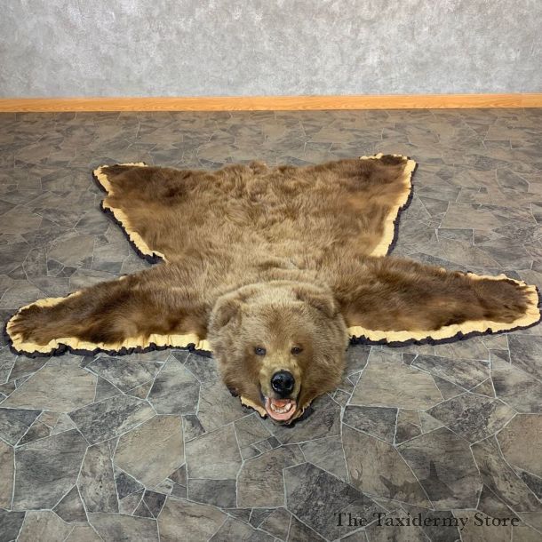 Grizzly Bear Taxidermy Rug Mount For Sale #21979 @ The Taxidermy Store
