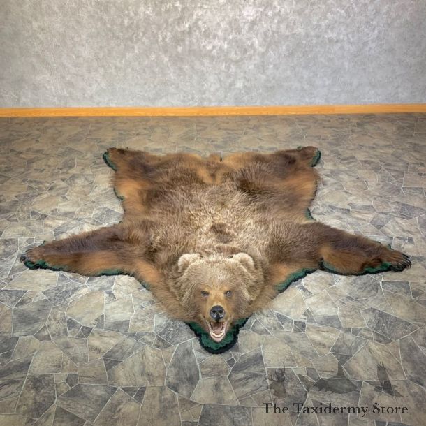 Grizzly Bear Taxidermy Rug Mount For Sale #23668 @ The Taxidermy Store