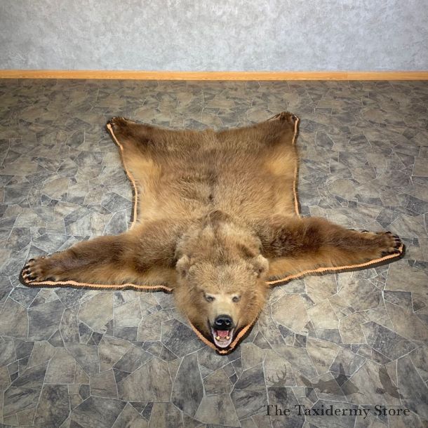 Grizzly Bear Taxidermy Rug Mount For Sale #23685 @ The Taxidermy Store