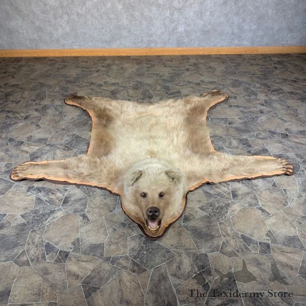 Grizzly Bear Taxidermy Rug Mount For Sale #24014 @ The Taxidermy Store