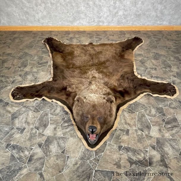 Grizzly Bear Taxidermy Rug Mount For Sale #24677 @ The Taxidermy Store