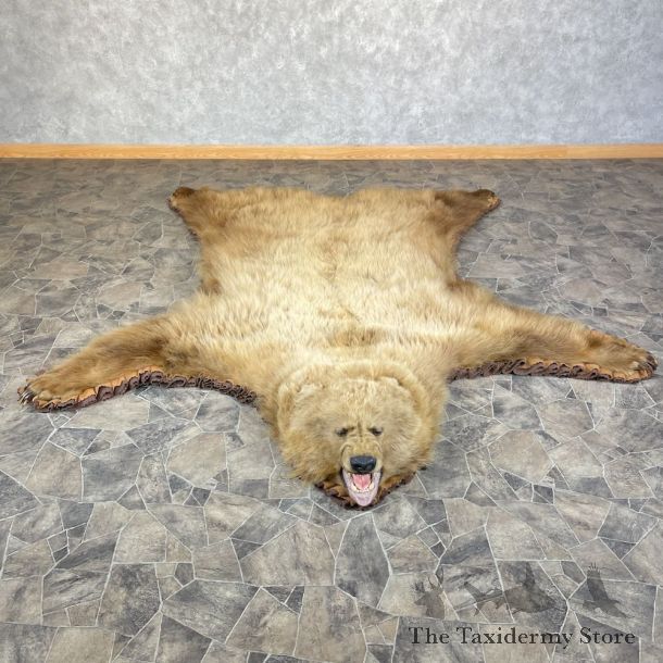 Grizzly Bear Taxidermy Rug Mount For Sale #25361 @ The Taxidermy Store