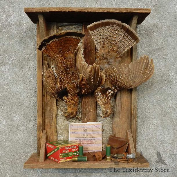 Ruffed Grouse Harvest Bird Mount For Sale #16230 @ The Taxidermy Store