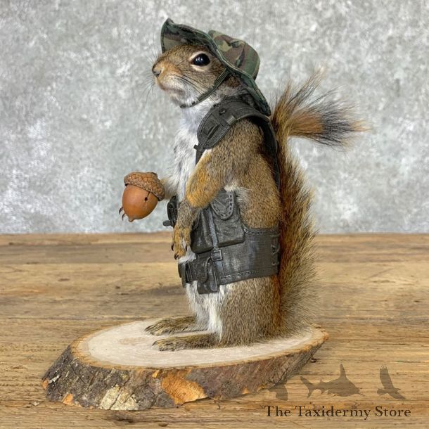 Hiking Squirrel Novelty Mount For Sale #23005 @ The Taxidermy Store