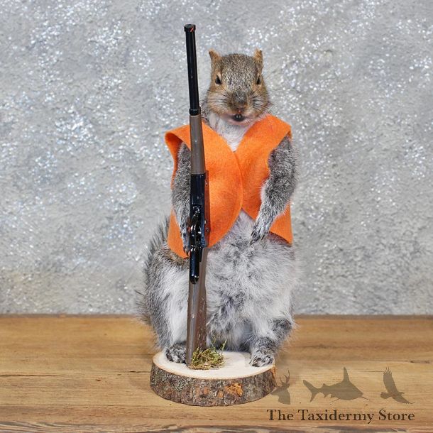 Novelty Hunter Grey Squirrel #11937 For Sale @ The Taxidermy Store