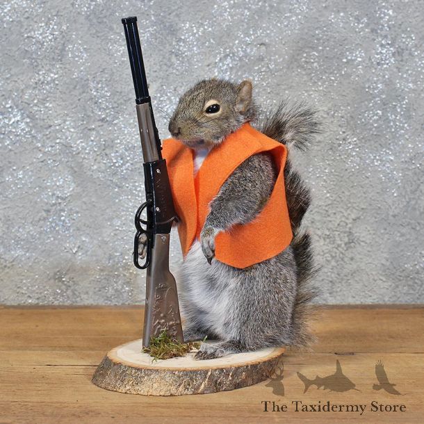 Novelty Hunter Grey Squirrel #11938 For Sale @ The Taxidermy Store