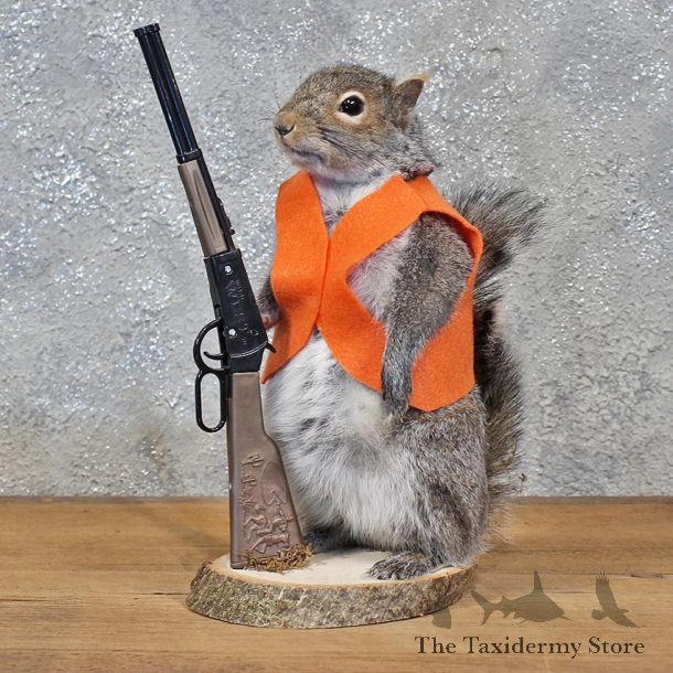 Novelty Hunter Grey Squirrel #11939 For Sale @ The Taxidermy Store