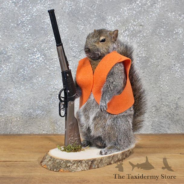 Novelty Hunter Grey Squirrel #11940 For Sale @ The Taxidermy Store