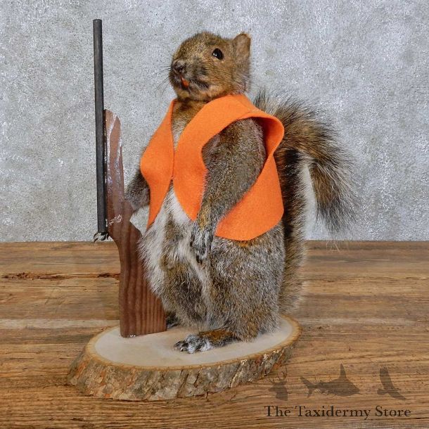 Hunting Squirrel Novelty Mount For Sale #15942 @ The Taxidermy Store