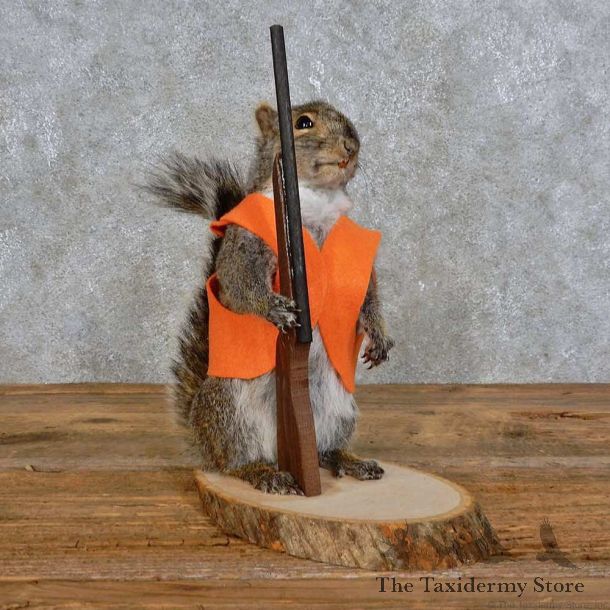 Hunting Squirrel Novelty Mount For Sale #15946 @ The Taxidermy Store