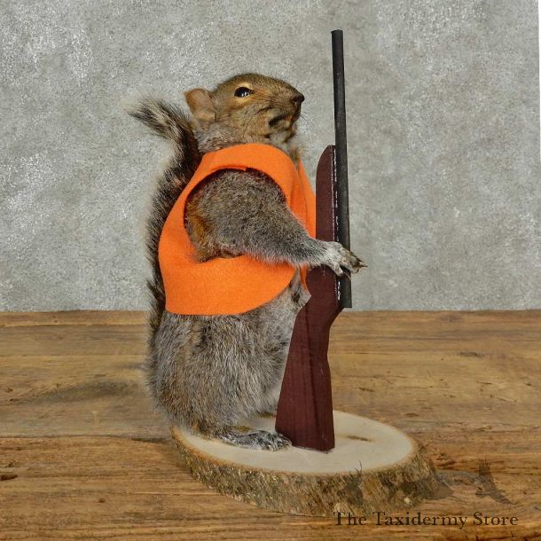 Hunting Squirrel Novelty Mount For Sale #16798 @ The Taxidermy Store