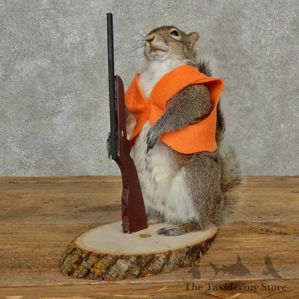 Hunting Squirrel Novelty Mount For Sale #16799 @ The Taxidermy Store