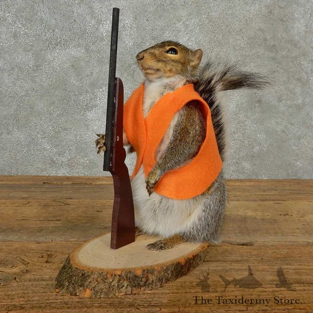 Hunting Squirrel Novelty Mount For Sale #16801 @ The Taxidermy Store