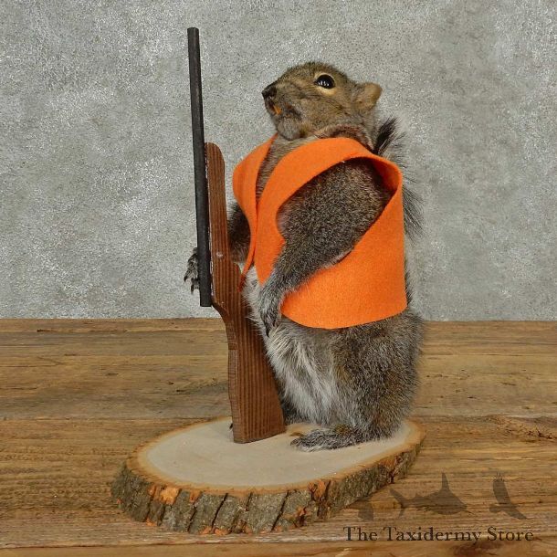Hunting Squirrel Novelty Mount For Sale #16802 @ The Taxidermy Store