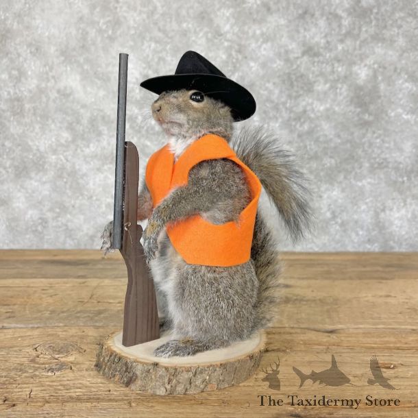 Hunting Cowboy Squirrel Novelty Mount For Sale #28617 @ The Taxidermy Store