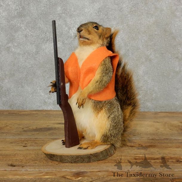 Hunting Squirrel Novelty Mount For Sale #17094 @ The Taxidermy Store