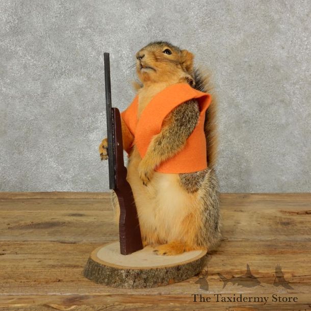 Hunting Squirrel Novelty Mount For Sale #17095 @ The Taxidermy Store