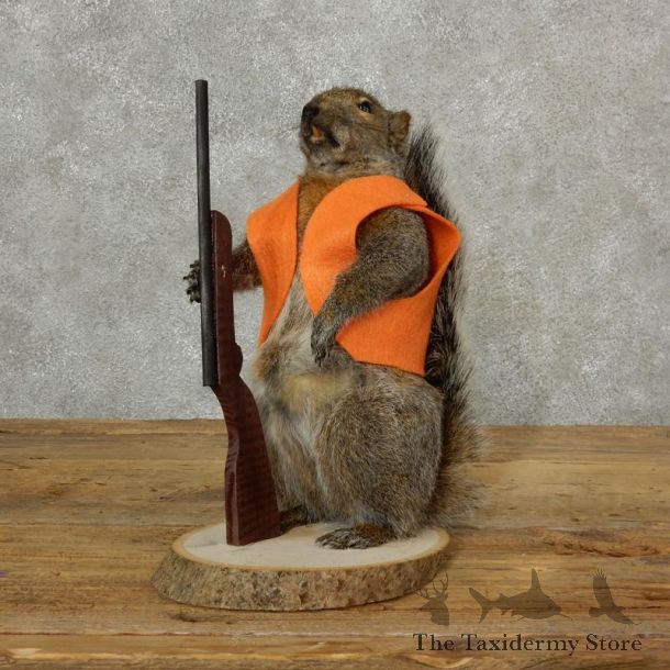 Hunting Squirrel Novelty Mount For Sale #17096 @ The Taxidermy Store