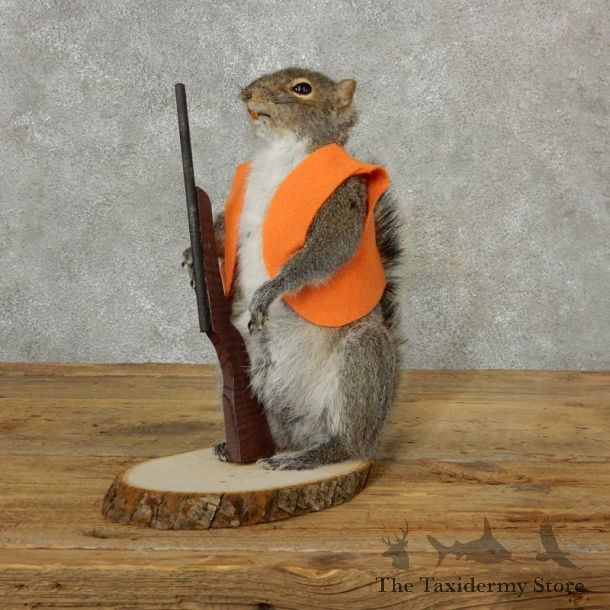Hunting Squirrel Novelty Mount For Sale #17097 @ The Taxidermy Store