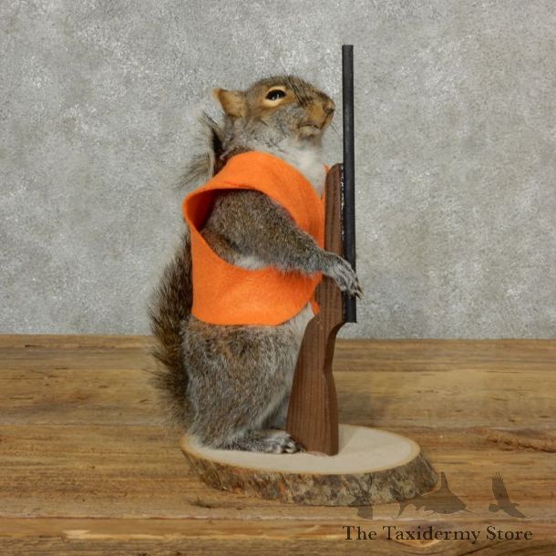 Hunting Squirrel Novelty Mount For Sale #17099 @ The Taxidermy Store