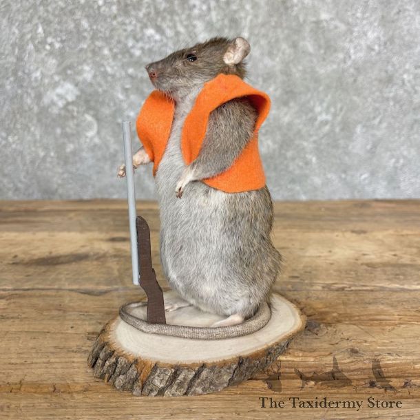 Hunting Rat Novelty Mount For Sale #26643 @ The Taxidermy Store