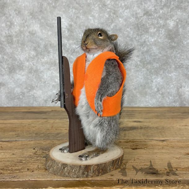 Hunting Squirrel Novelty Mount For Sale #28609 @ The Taxidermy Store