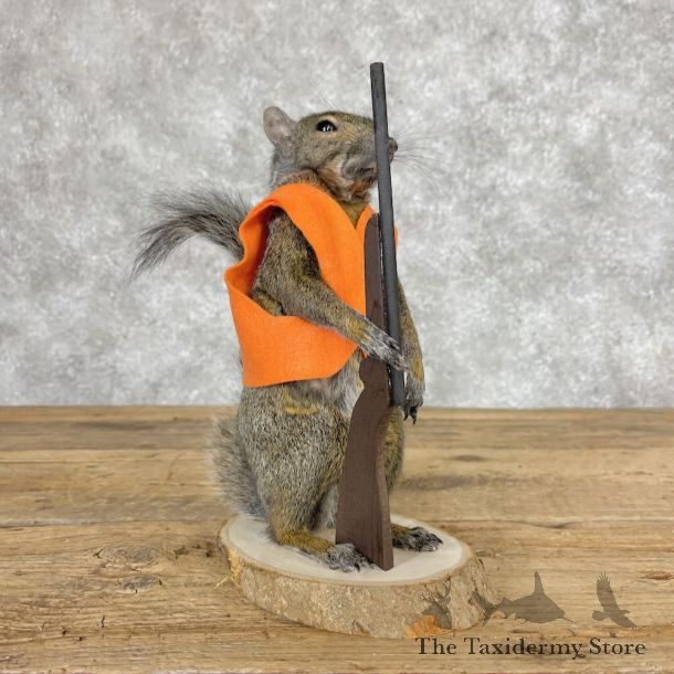 Hunting Squirrel Novelty Mount For Sale #28610 @ The Taxidermy Store