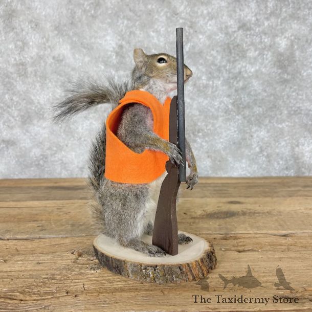 Hunting Squirrel Novelty Mount For Sale #28611 @ The Taxidermy Store