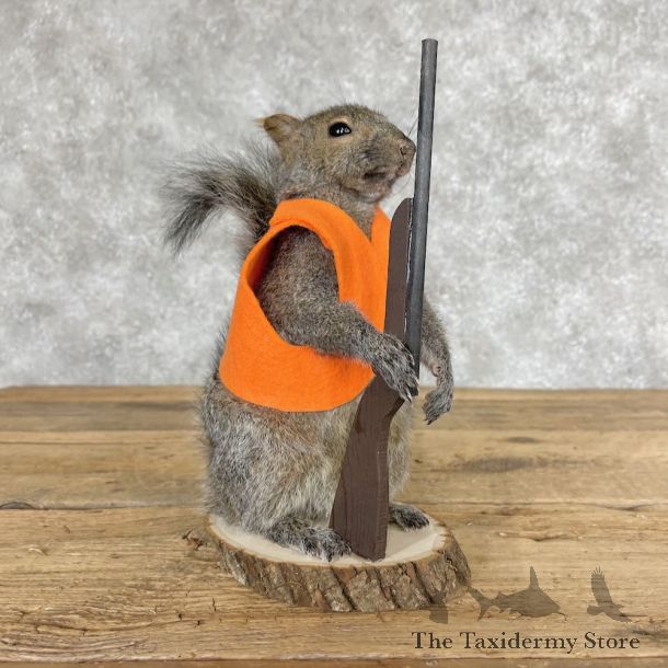 Hunting Squirrel Novelty Mount For Sale #28612 @ The Taxidermy Store
