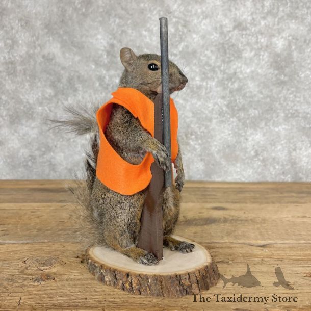 Hunting Squirrel Novelty Mount For Sale #28614 @ The Taxidermy Store