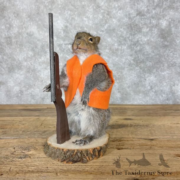 Hunting Squirrel Novelty Mount For Sale #28618 @ The Taxidermy Store