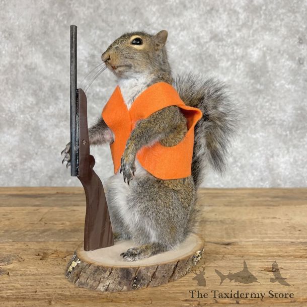 Hunting Squirrel Novelty Mount For Sale #28619 @ The Taxidermy Store
