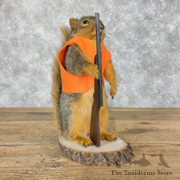 Hunting Squirrel Novelty Mount For Sale #28621 @ The Taxidermy Store