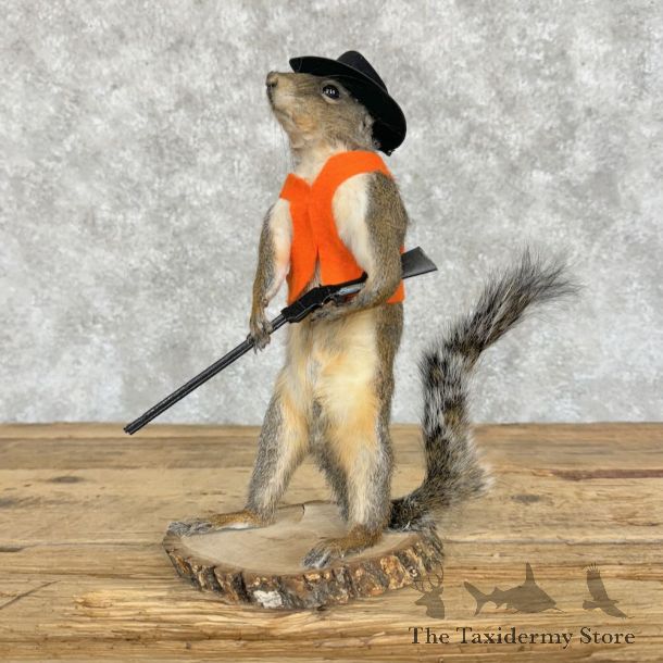 Hunting Squirrel Novelty Mount For Sale #28620 @ The Taxidermy Store