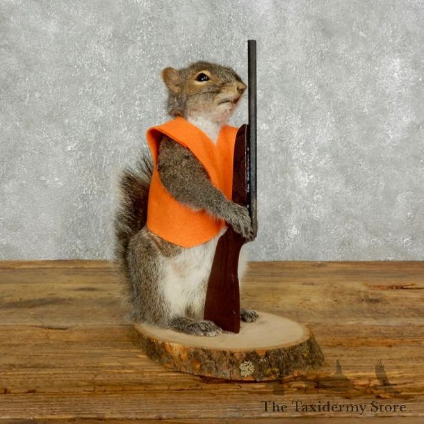 Hunting Squirrel Novelty Mount For Sale #17615 @ The Taxidermy Store