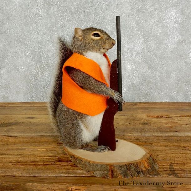 Hunting Squirrel Novelty Mount For Sale #17616 @ The Taxidermy Store