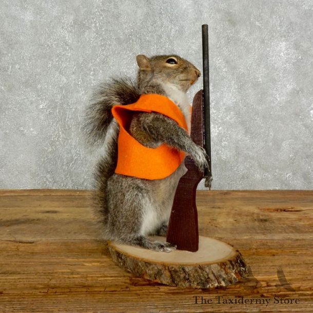 Hunting Squirrel Novelty Mount For Sale #17617 @ The Taxidermy Store