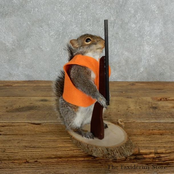 Hunting Squirrel Novelty Mount For Sale #18036 @ The Taxidermy Store