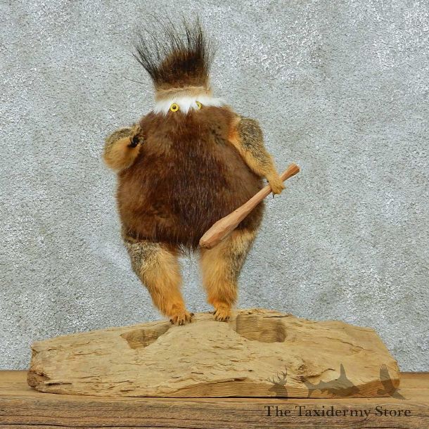 Whatchamacallit Taxidermy Mount #13260 For Sale @ The Taxidermy Store