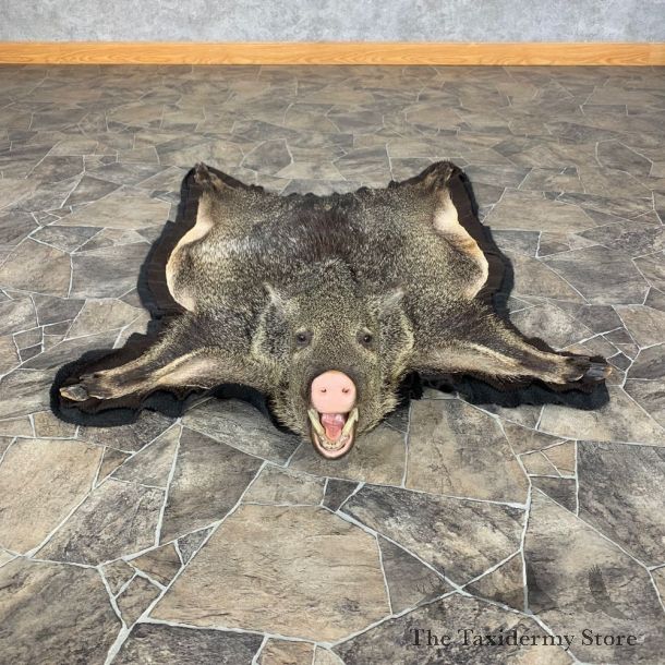 Javelina Full-Size Rug For Sale #22704 @ The Taxidermy Store