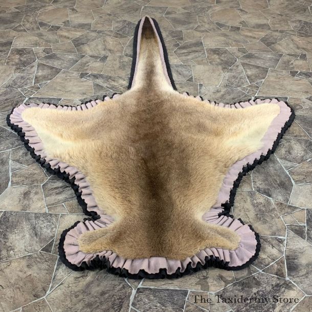 Kangaroo Taxidermy Rug For Sale #21181 @ The Taxidermy Store