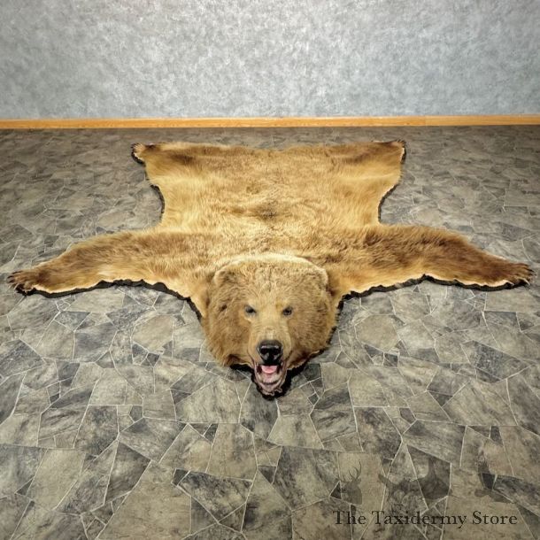 Kodiak Brown Bear Full-Size Rug Mount For Sale #28899 @ The Taxidermy Store