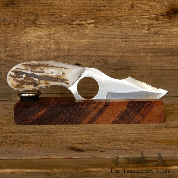 Kodiak Skinning Knife For Sale #19176 - The Taxidermy Store