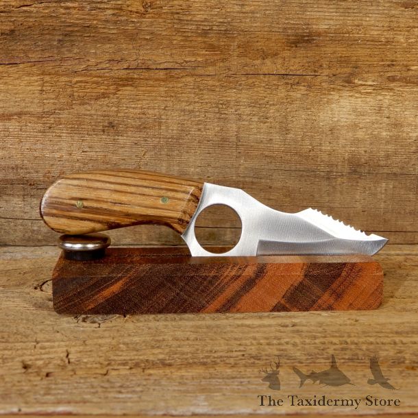 Kodiak Skinning Knife For Sale #19177 - The Taxidermy Store