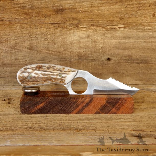 Kodiak Skinning Knife For Sale #19178 - The Taxidermy Store