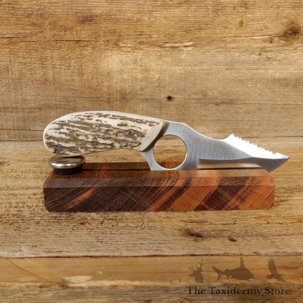 Kodiak Skinning Knife For Sale #19208 - The Taxidermy Store