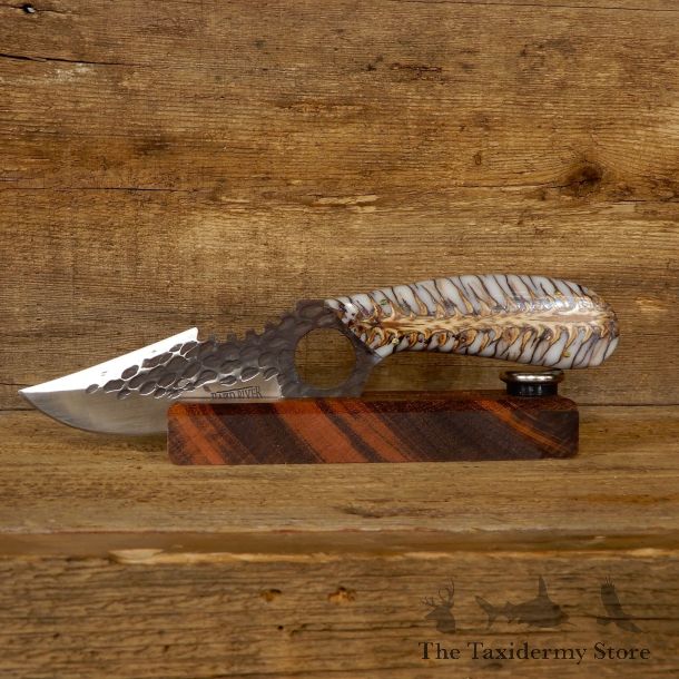 Kodiak XL Hunting Knife For Sale #19175 @ The Taxidermy Store